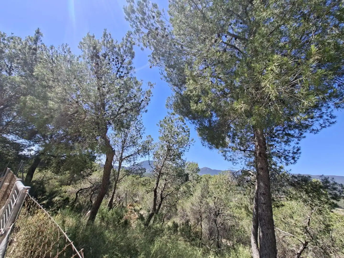 Vista exterior de Casa o xalet en venda en Tibi amb Aire condicionat, Jardí privat i Terrassa