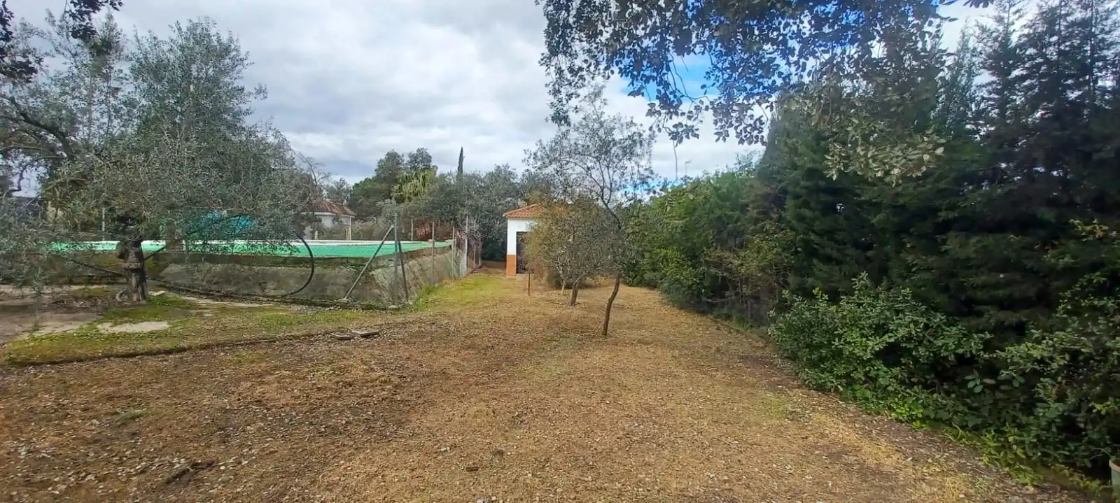 Haus zum Verkauf in Castilblanco de los Arroyos, imagen 33