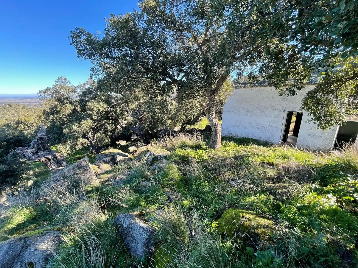 Terreni e lotti in vendita a Montánchez, imagen 7