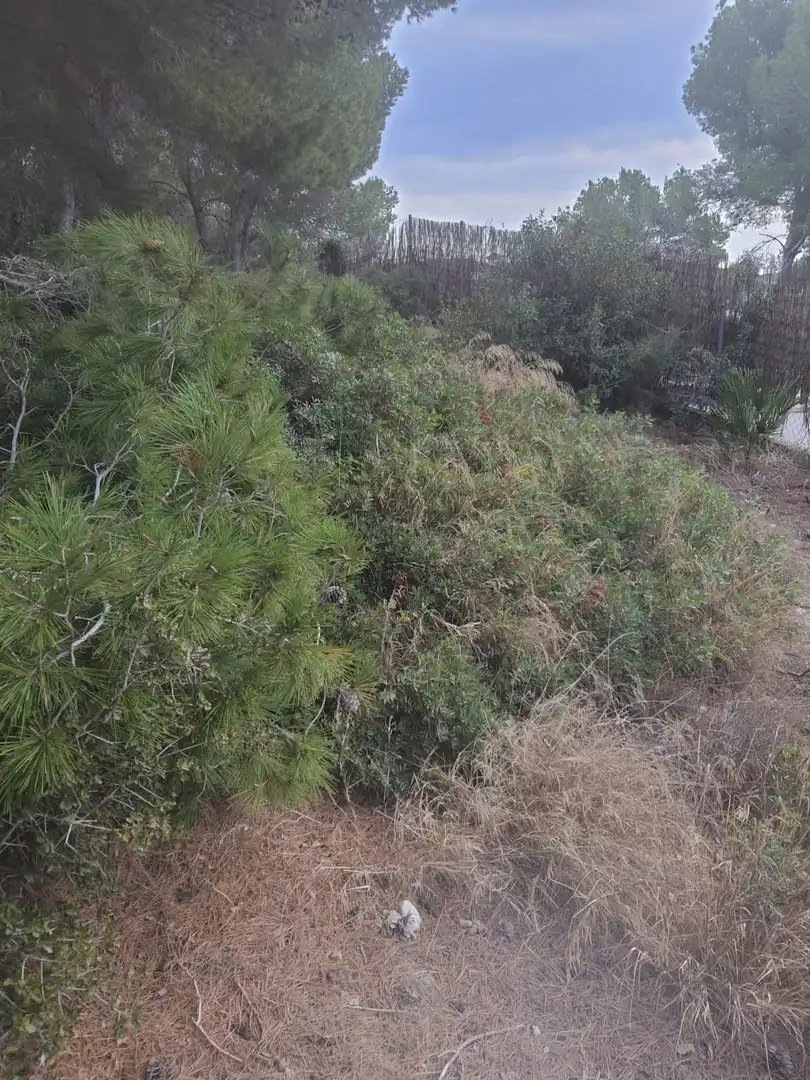 Grundstücke und Bauplätze zum Verkauf in Calafell Park, imagen 22