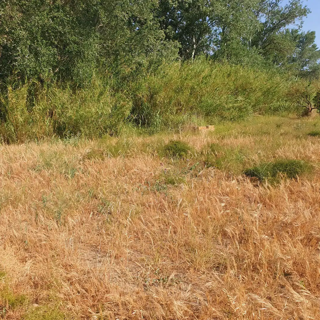 Terrain rustique à vendre à Rasquera, imagen 5
