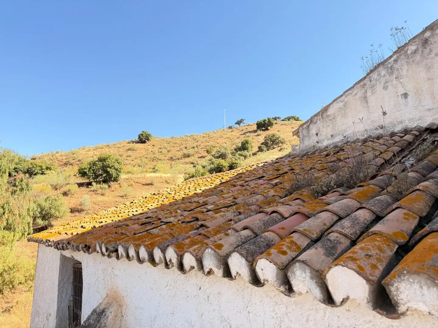 Vista exterior de Terreno en venta en Málaga