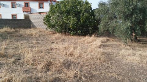 Foto 2 von Residential zum Verkauf in Calle Nueva, Santa Ana, Cáceres