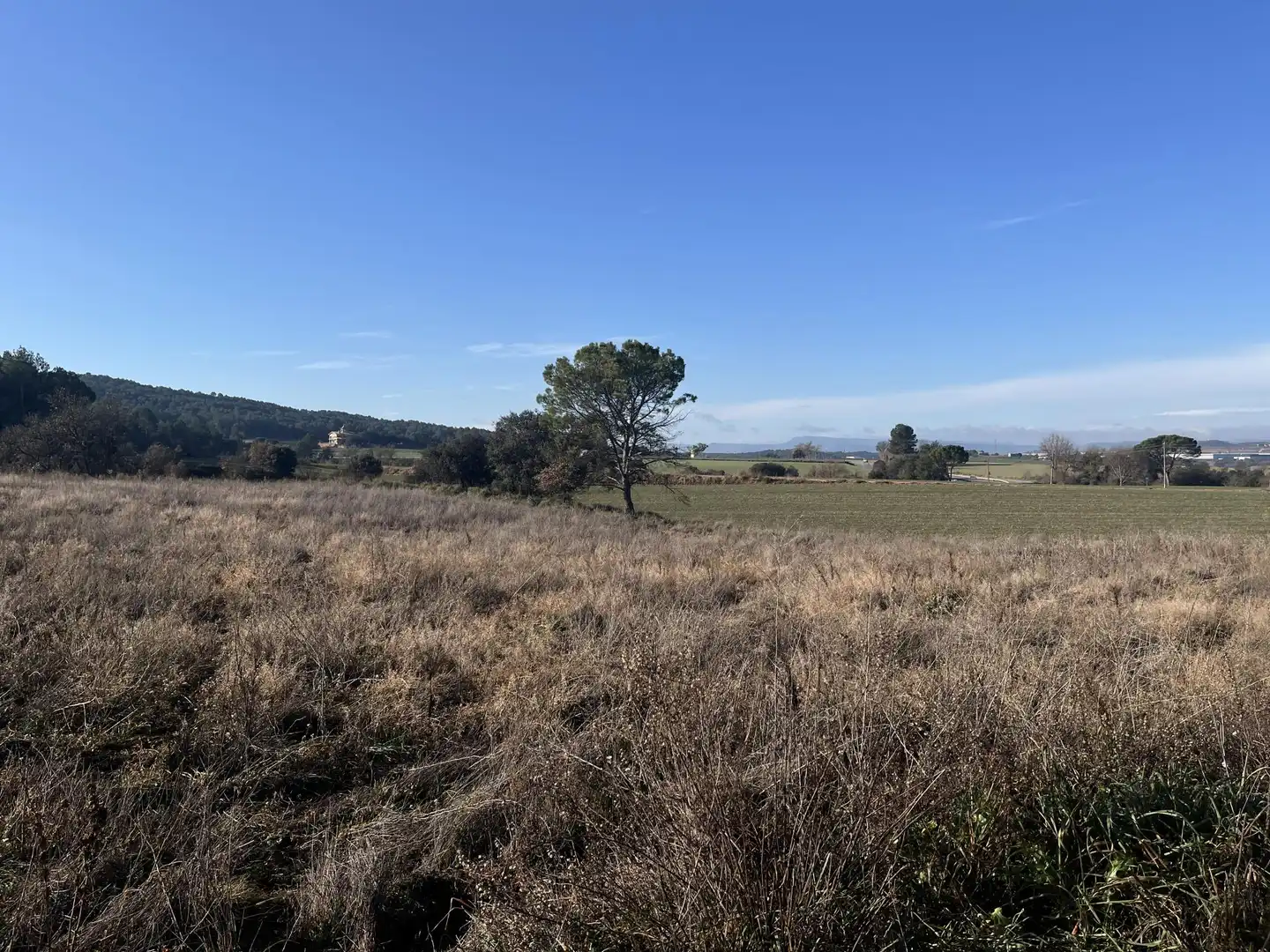 Industrial land for sale in Artés