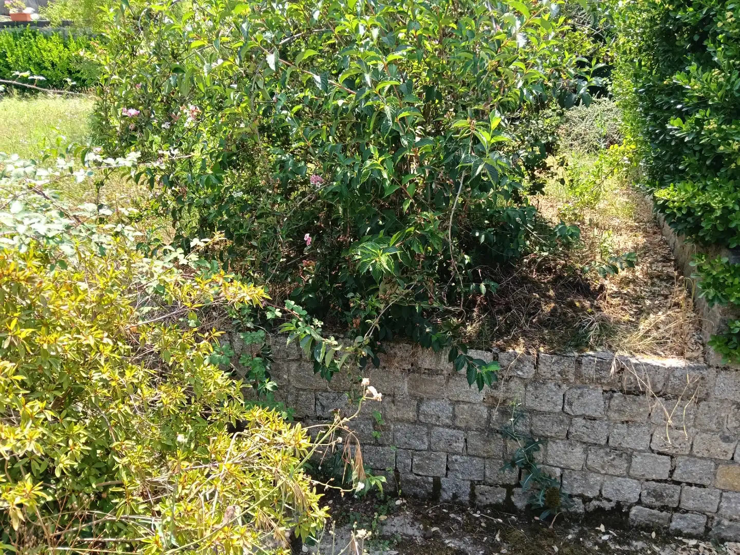 Maison avec jardin à vendre à Betanzos, imagen 16