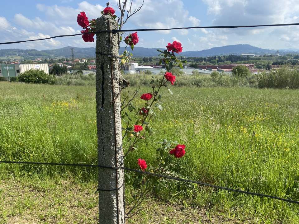 Country house for sale in Sondika