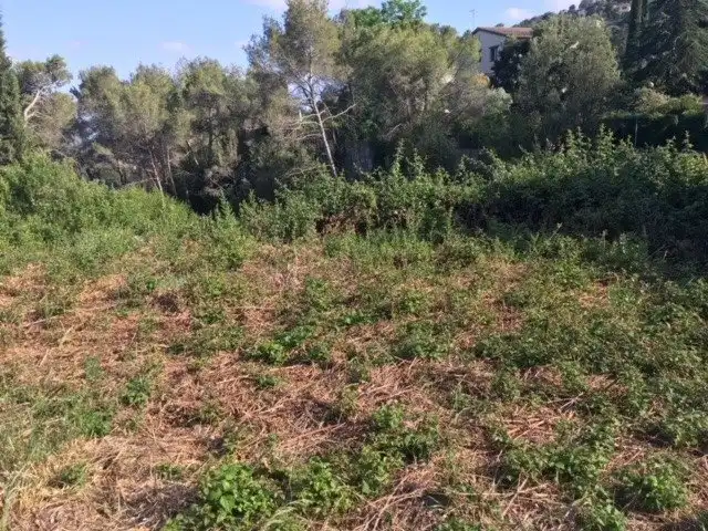 Wohnbaugrundstück zum Verkauf in El Racó - Sant Feliu del Racó, imagen 12