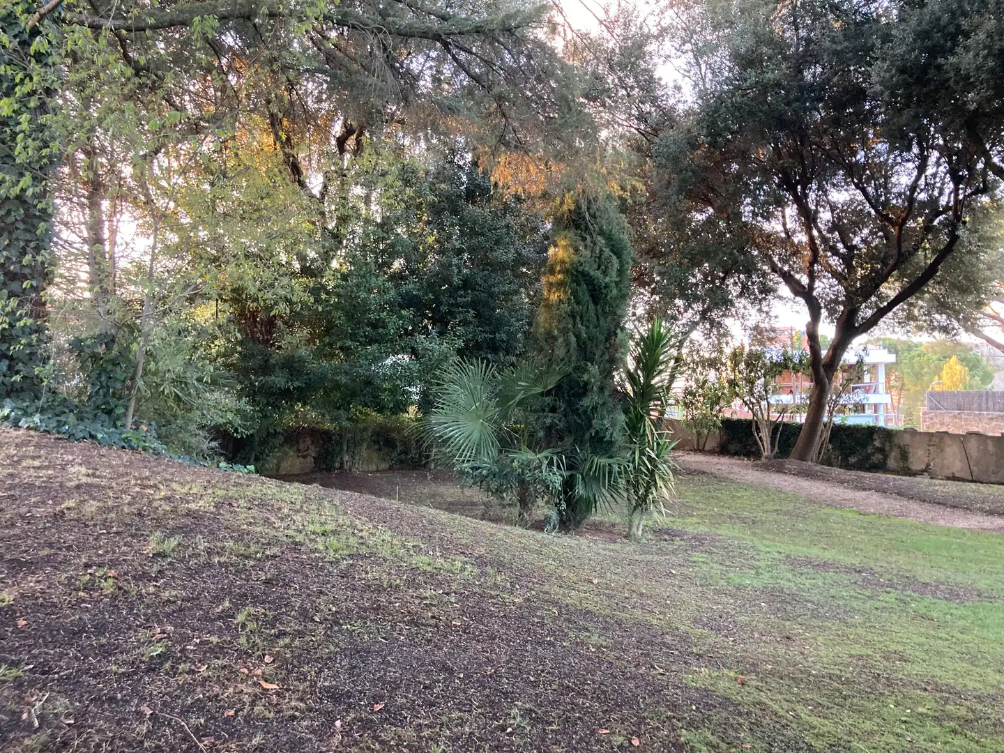 Terreny residencial en venda a La Pobla de Claramunt, imagen 11
