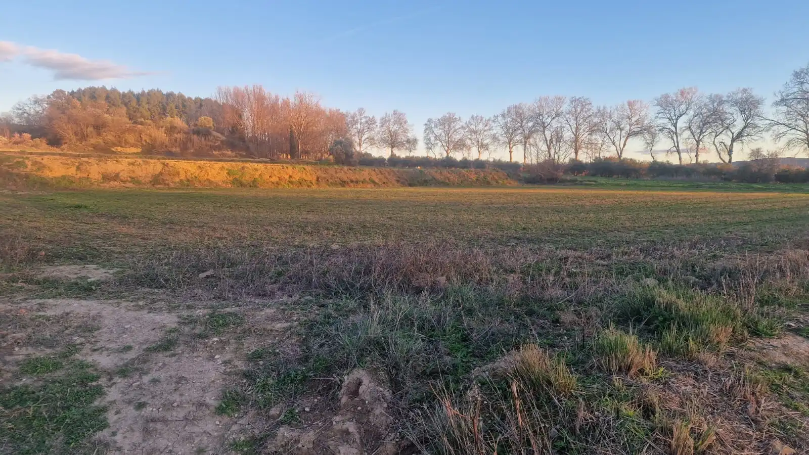 Rural land for sale in Juneda, imagen 5