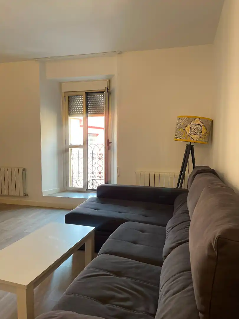 Sala d'estar de Pis de lloguer en Plasencia amb Aire condicionat, Calefacció i Moblat