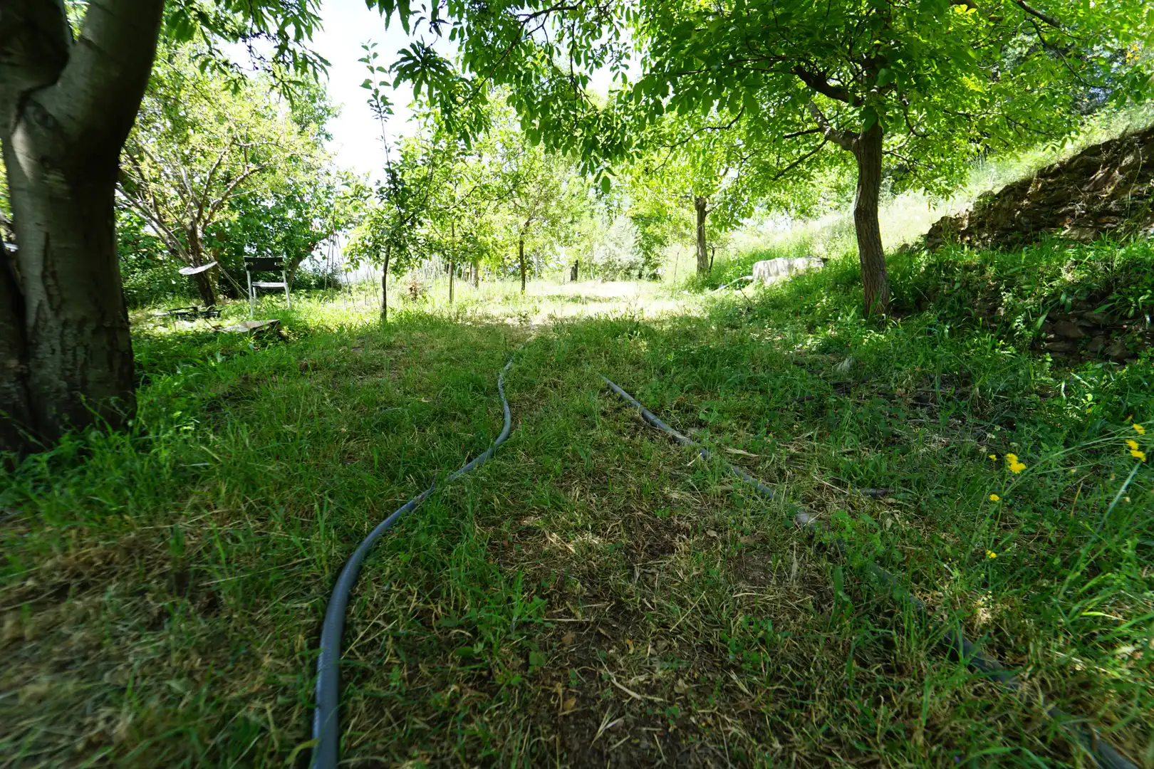 Finca rústica en venda en La Taha amb Terrassa i Moblat