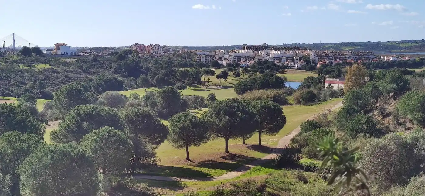 Chalet con piscina en venta en Paseo BLASCO IBAÑEZ, imagen 40