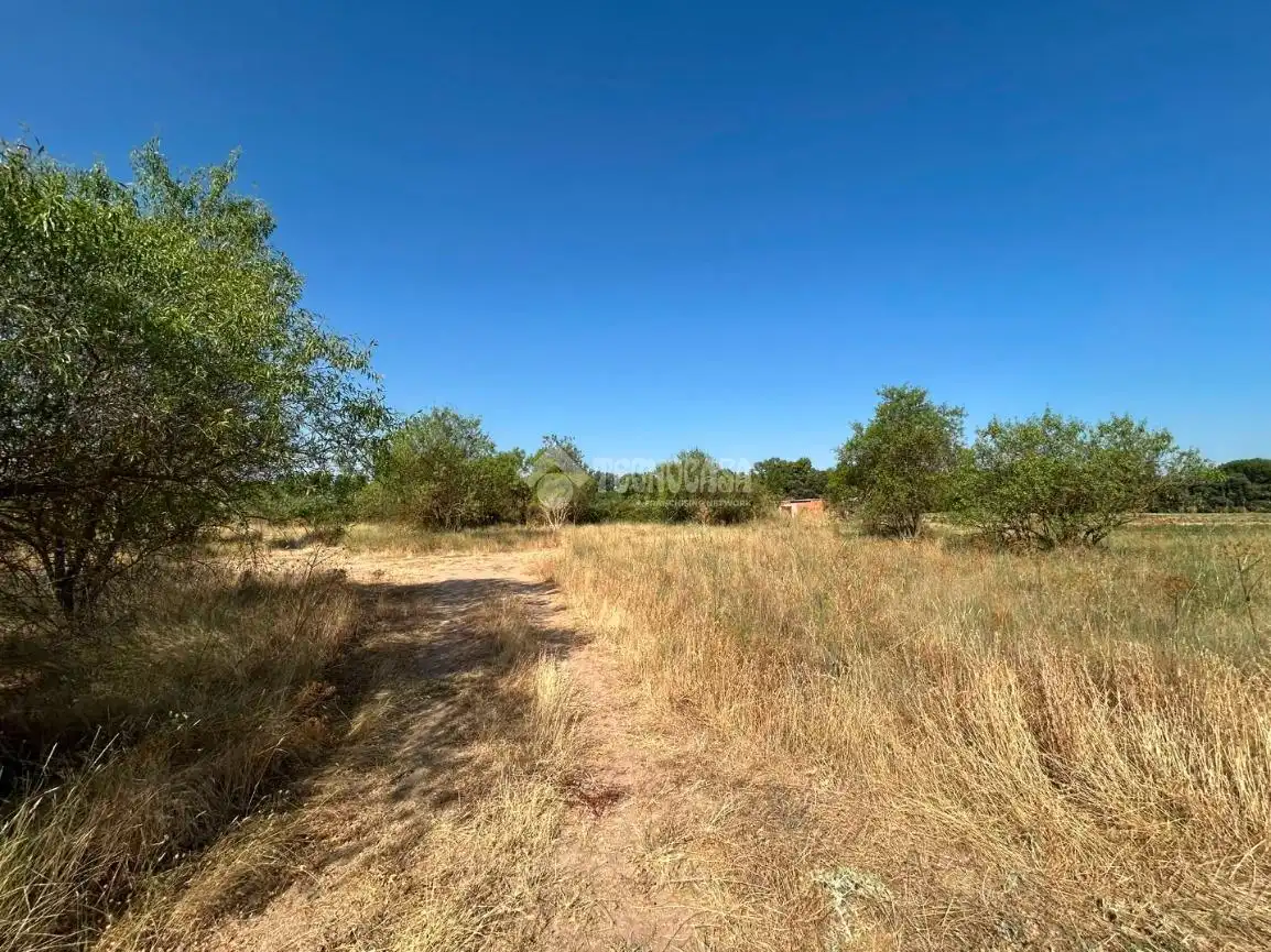 Rural land for sale in Laguna de Duero, imagen 13