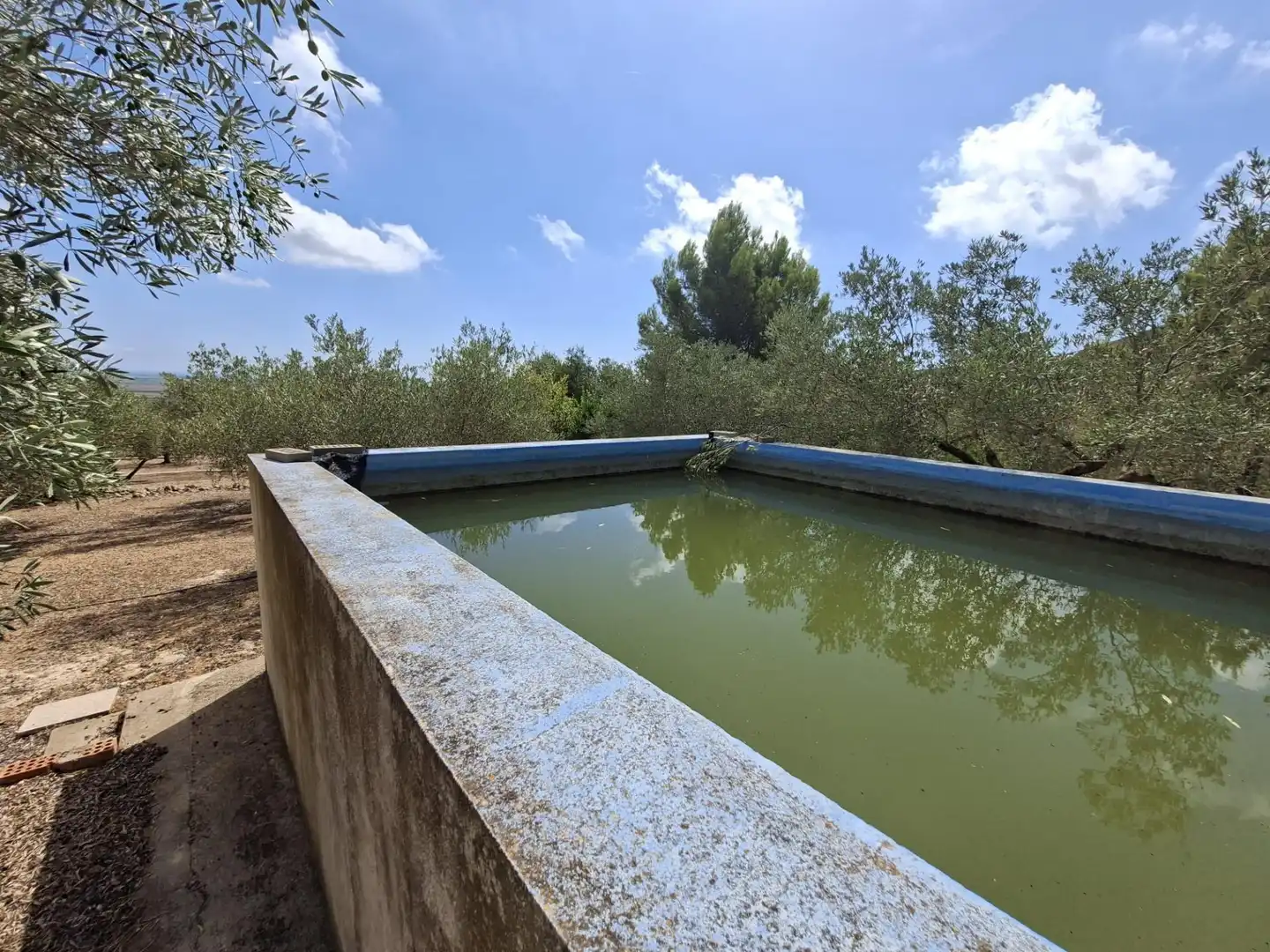 Terreno rustico in vendita a Partida del Mas d'en Civill, imagen 36