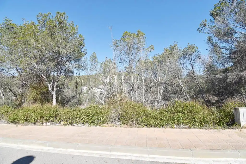 Residential land for sale in Mas Alba, imagen 9