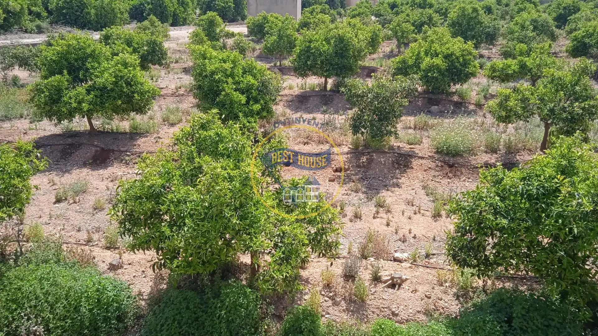 Terreno residencial en venta en Montesa, imagen 2