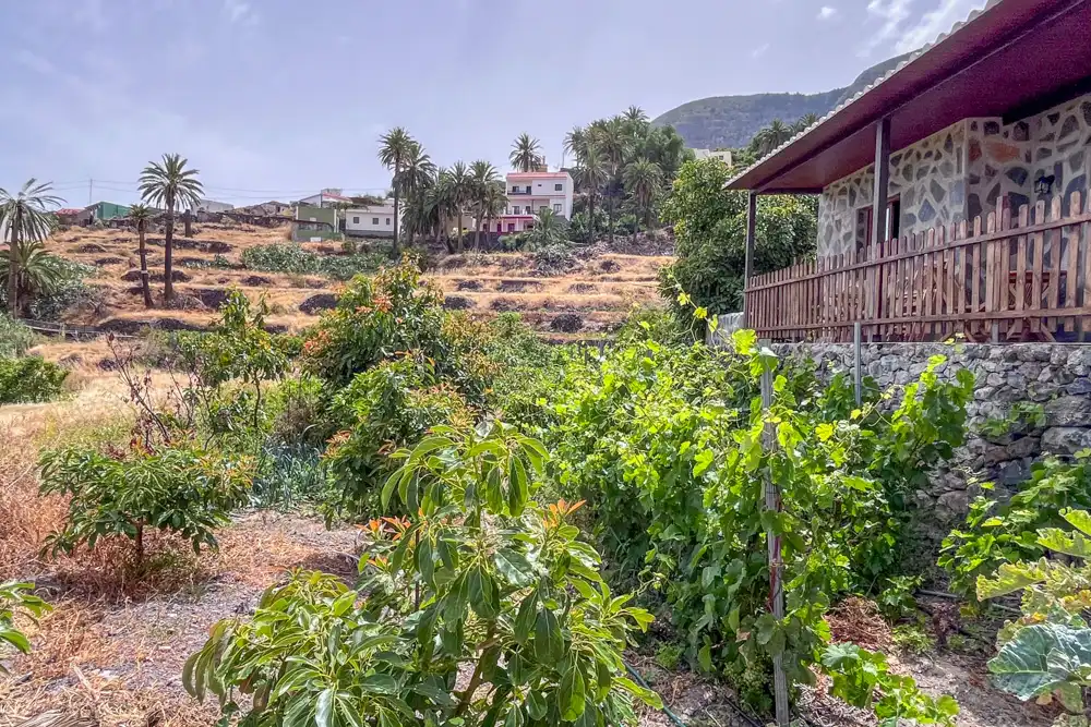 Jardí de Finca rústica en venda en Vallehermoso amb Terrassa