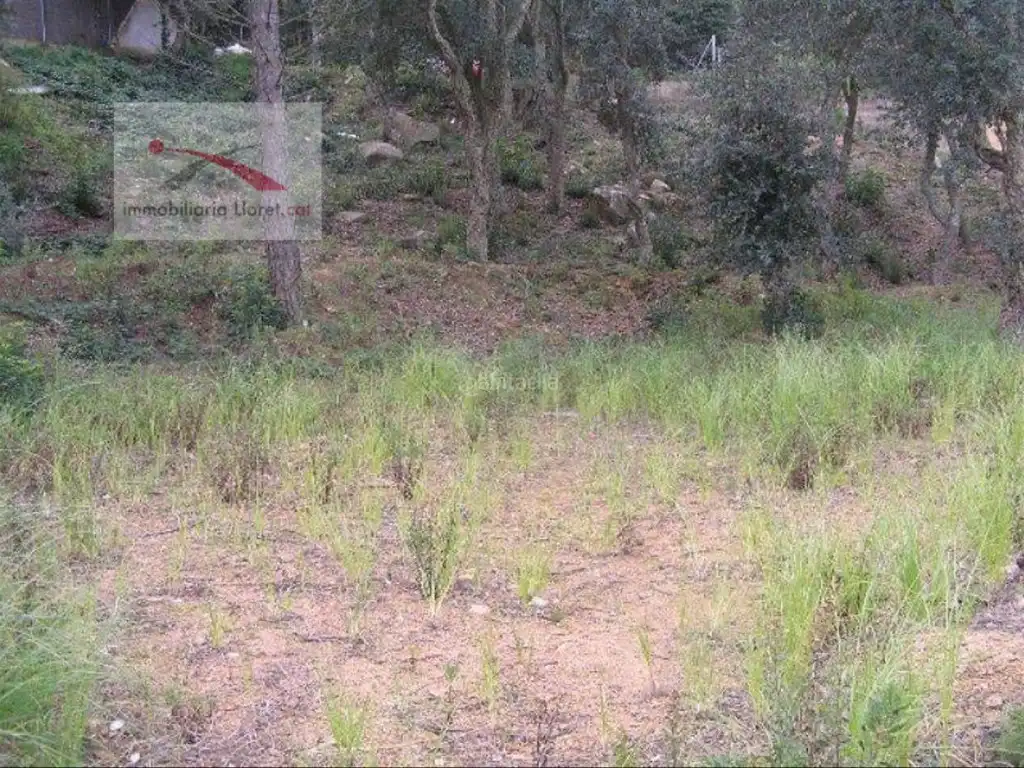 Wohnbaugrundstück zum Verkauf in Serra Brava, imagen 4