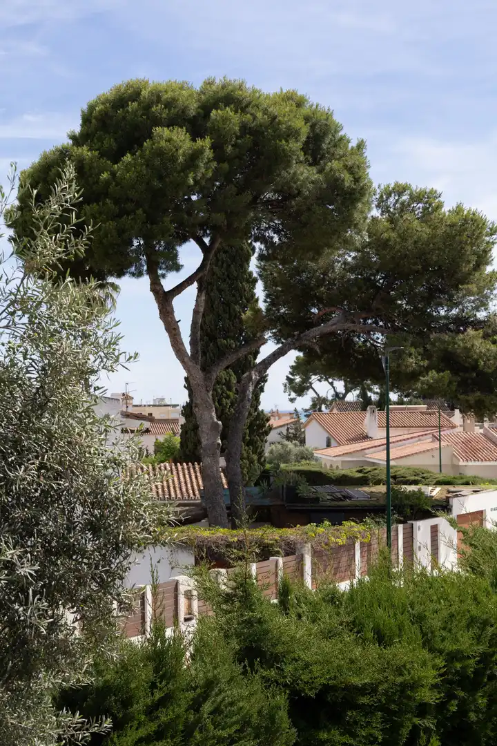 House with terrace for sale in Este, imagen 5