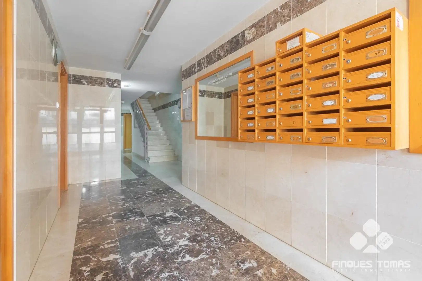 Ground floor with terrace for sale in Calle NOGUERA, imagen 28