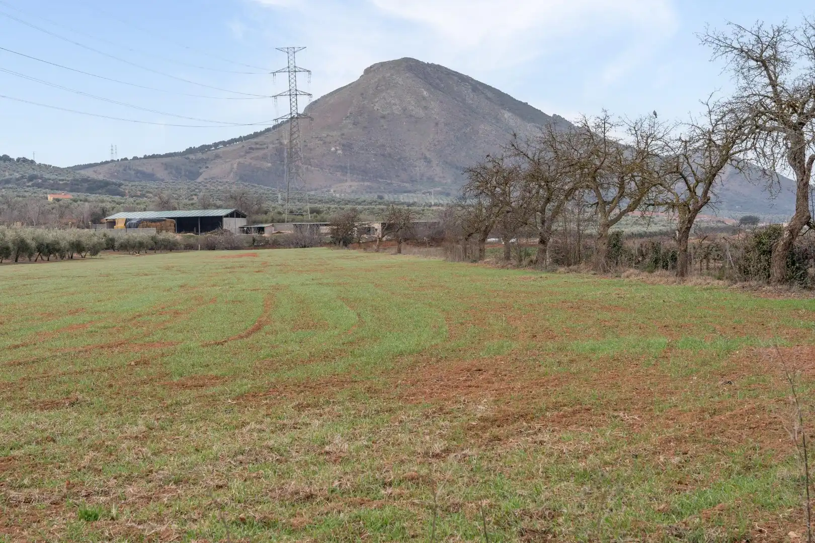 Terrenys i solars en venda a Polígono 23 Parcela 63 LA ZANJA. ALBOLOTE (GRANAD 23, imagen 32