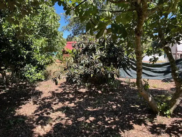 Finca rústica en venta en Vejer de la Frontera