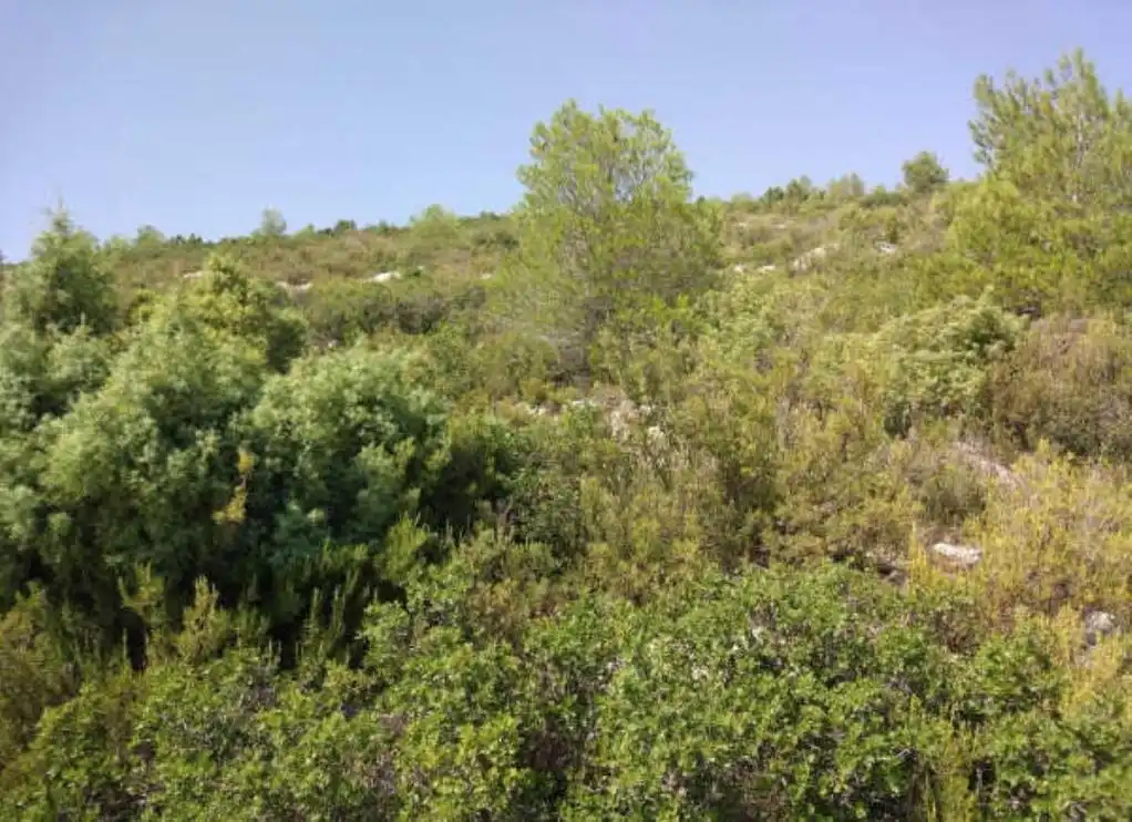 Rustikales Grundstück zum Verkauf in ENRIQUE CARCEL, imagen 3