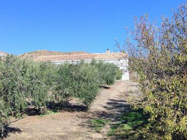 Haus zum Verkauf in Macael