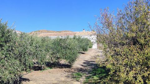 MACAEL  ALMERÍA . VENTA DE CASA DE CAMPO DE UNA PLANTA CON TERRENO.