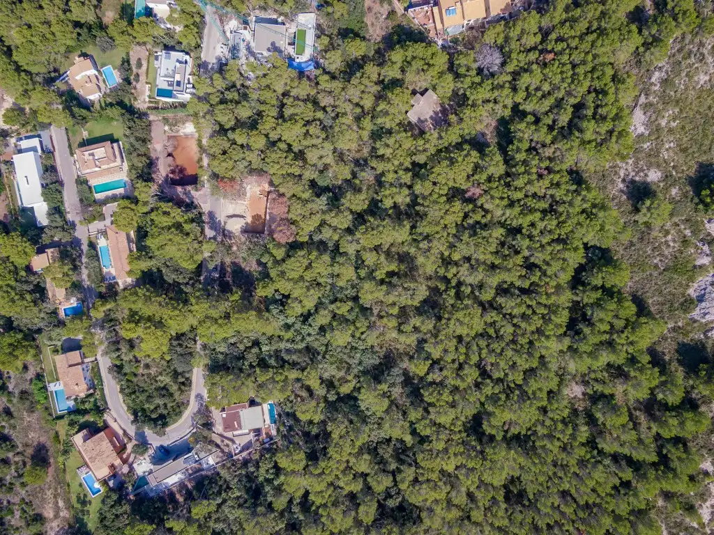 Terrain rustique à vendre à Pollença Poble, imagen 3