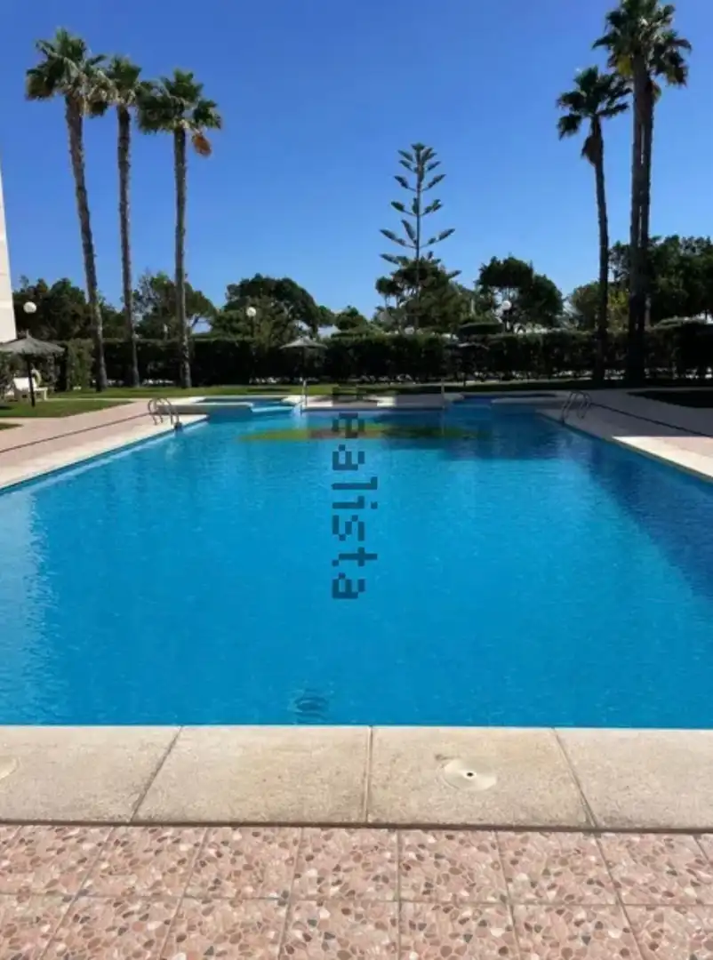 Swimming pool of Flat for rent in Elche / Elx  with Air Conditioner, Heating and Terrace
