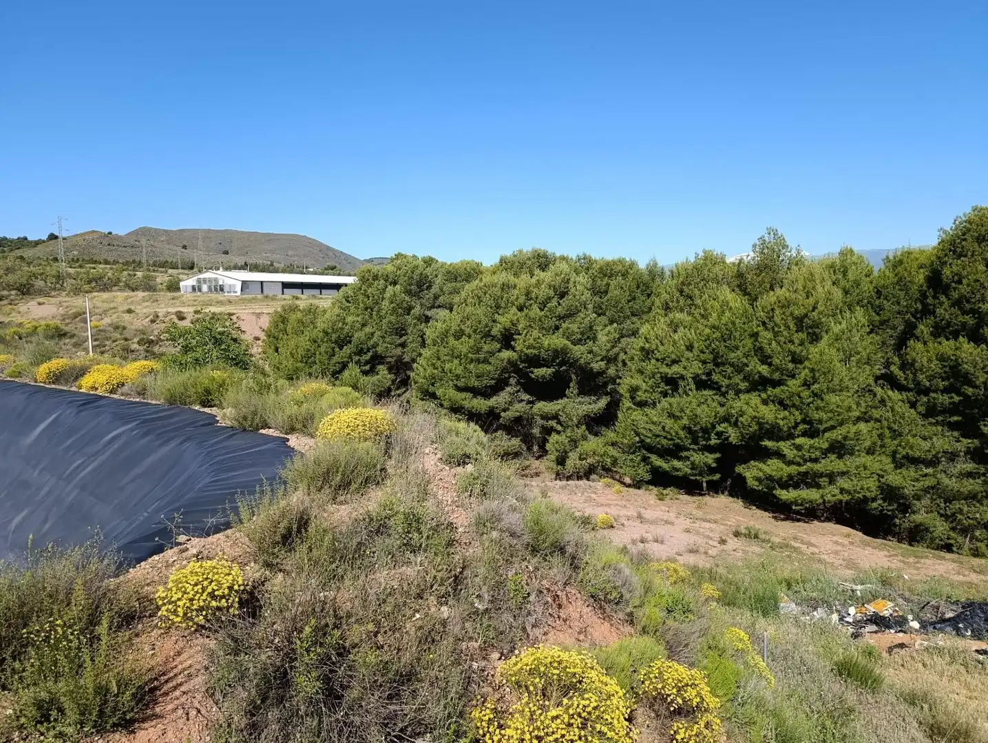 Rural land for sale in Laujar de Andarax, imagen 11