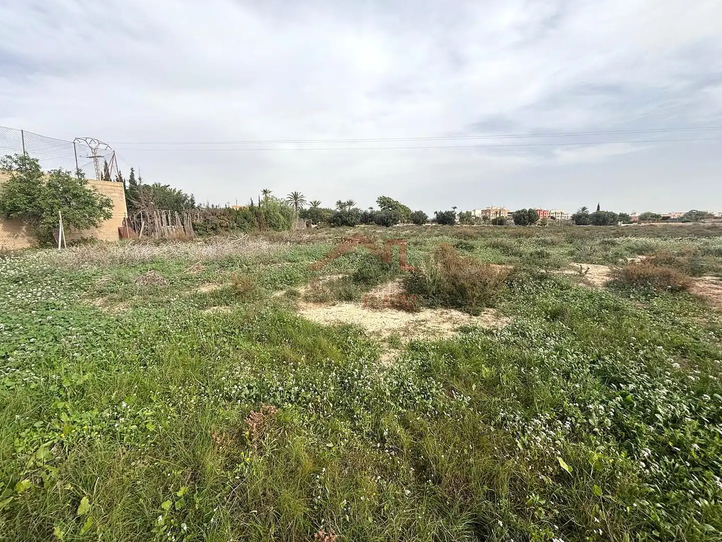 Grundstücke zur Miete in Elche / Elx