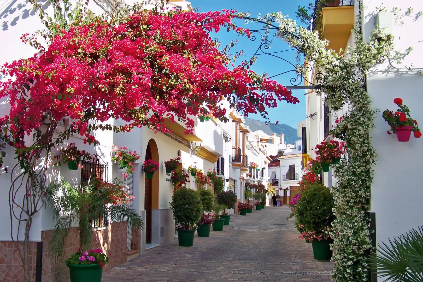 Adosado con terraza en venta en Estepona Pueblo, imagen 8