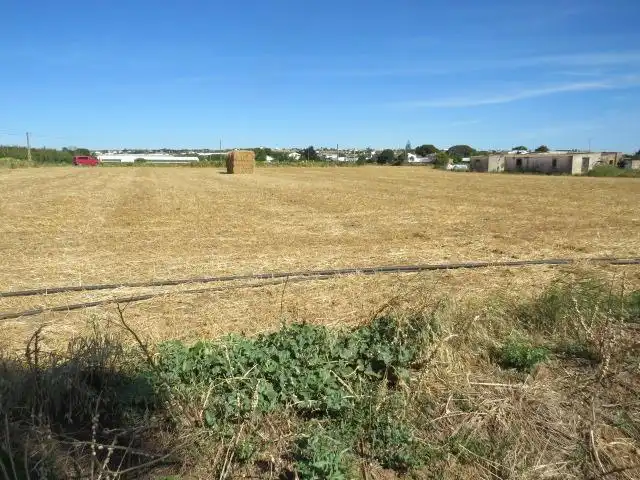 Rural land for sale in Barrio Nuevo, imagen 10