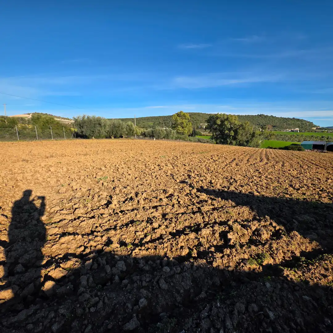 Terreni e lotti in vendita a Arcos de la Frontera, imagen 36