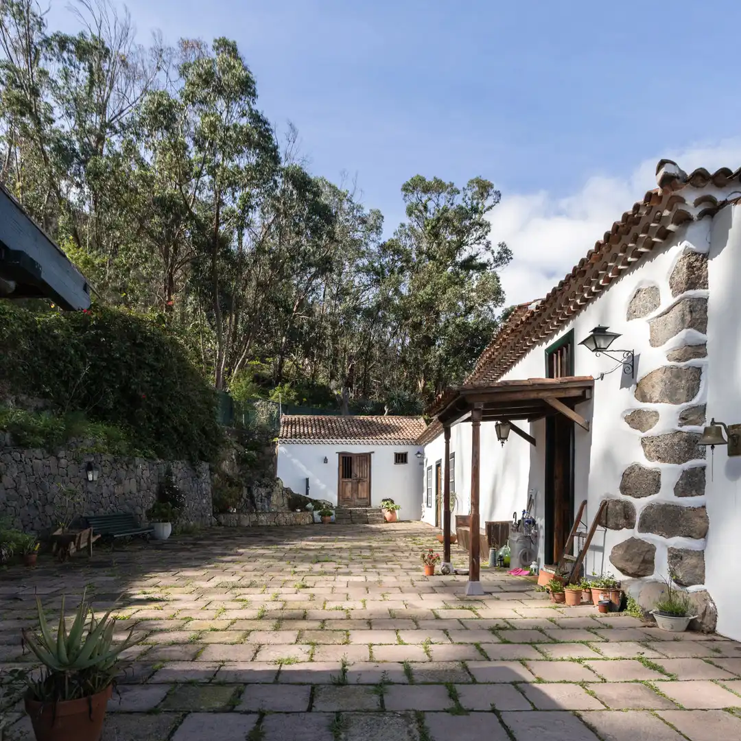 Vista exterior de Finca rústica en venta en Tegueste con Jardín privado, Terraza y Horno