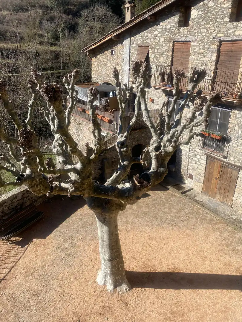 Garden of Flat for rent in Camprodon  with Terrace, Furnished and Washing machine