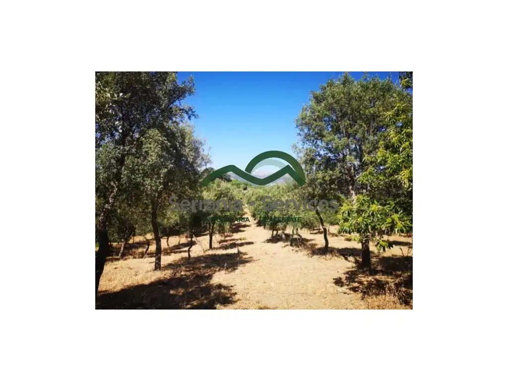 Finca rústica en venda en Faraján