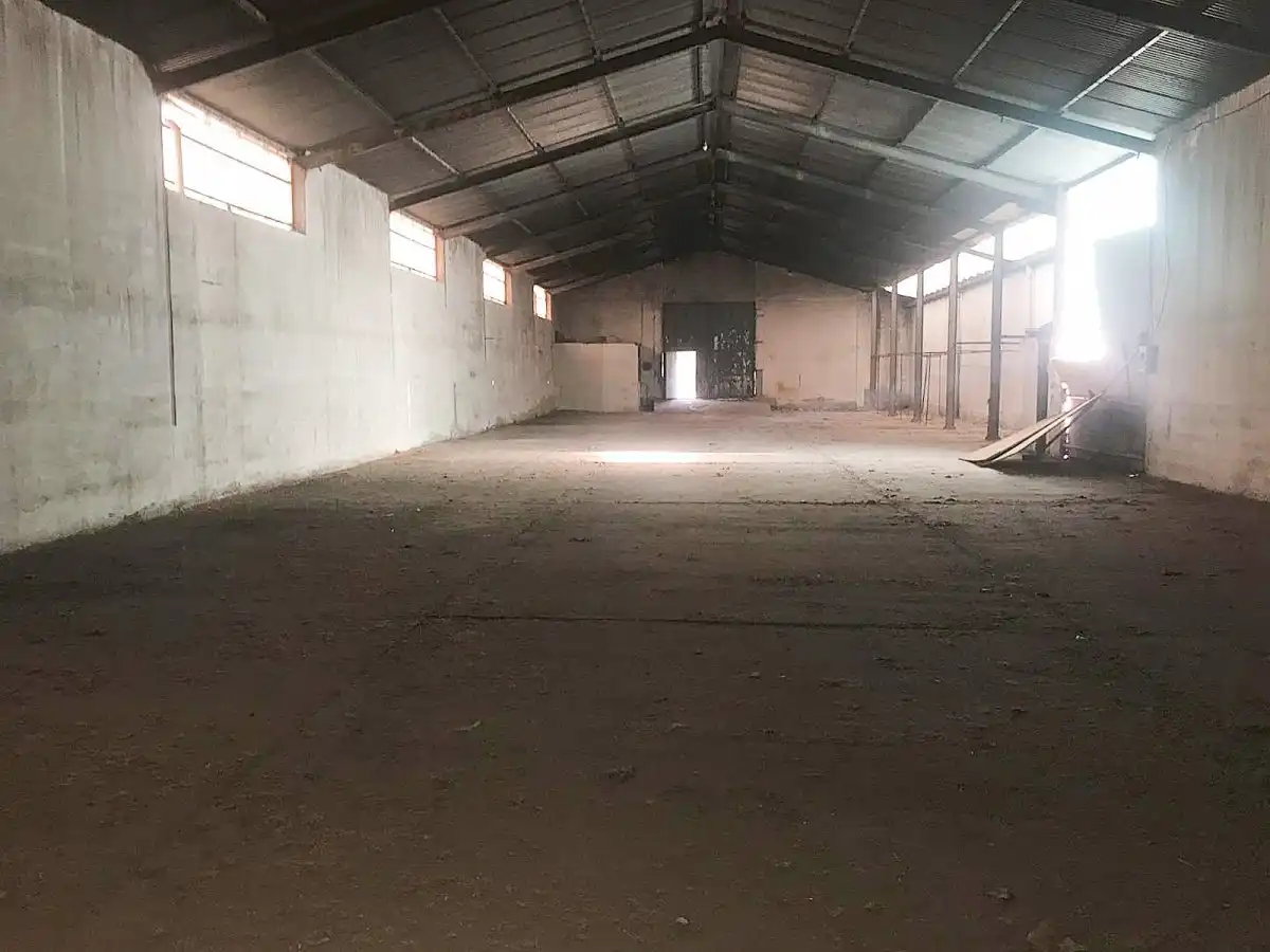 Industrial buildings for sale in Calle RAMON FROILAN, Santa María - Pio XII