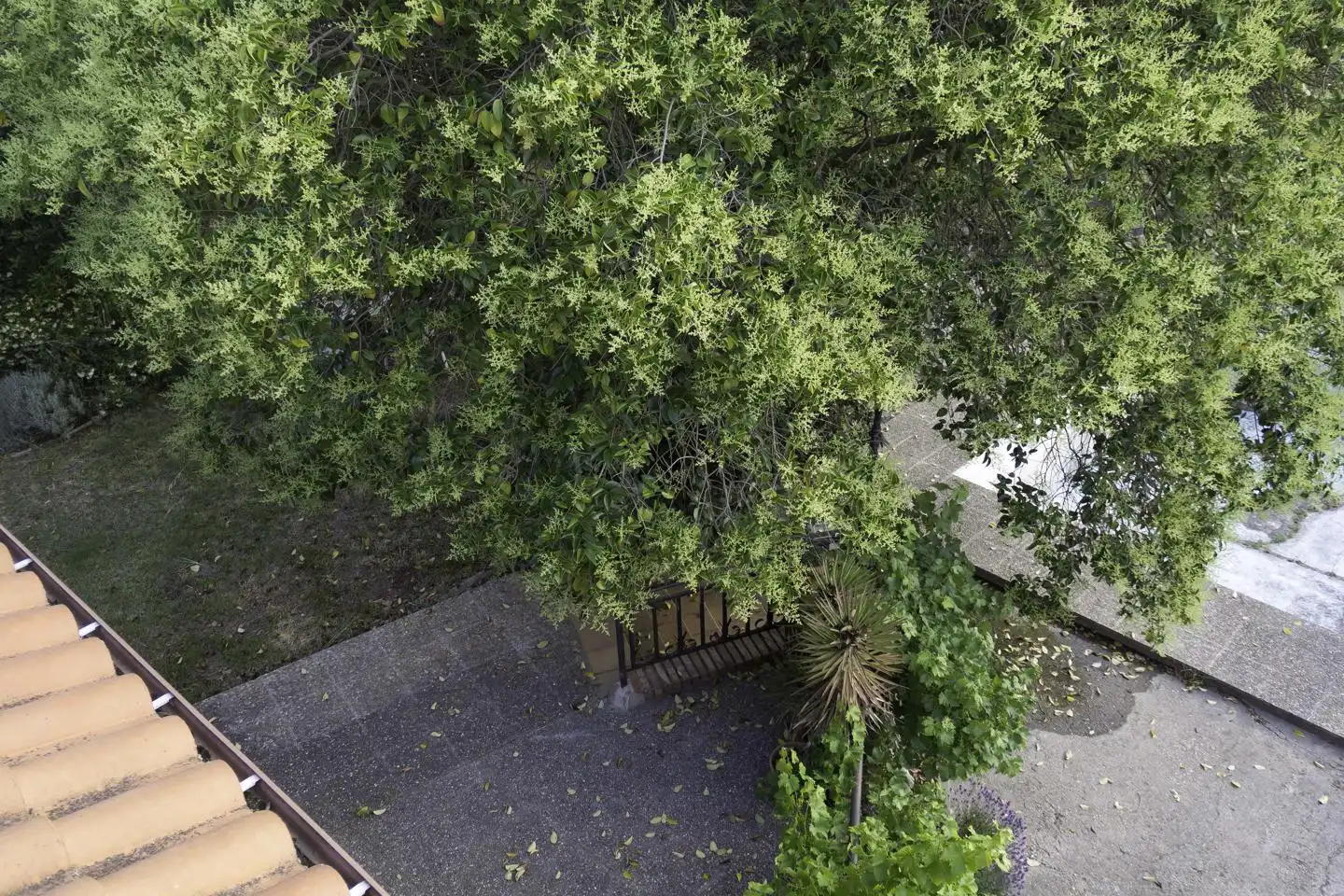 Jardí de Casa o xalet en venda en Alfaro amb Aire condicionat, Calefacció i Jardí privat