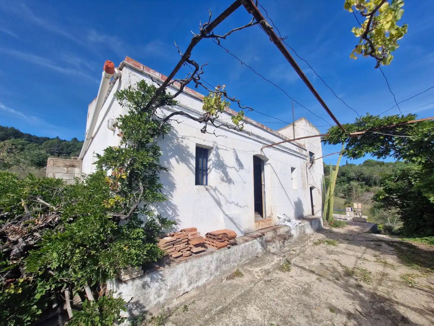 Terreno rústico en venta en La Selva del Camp