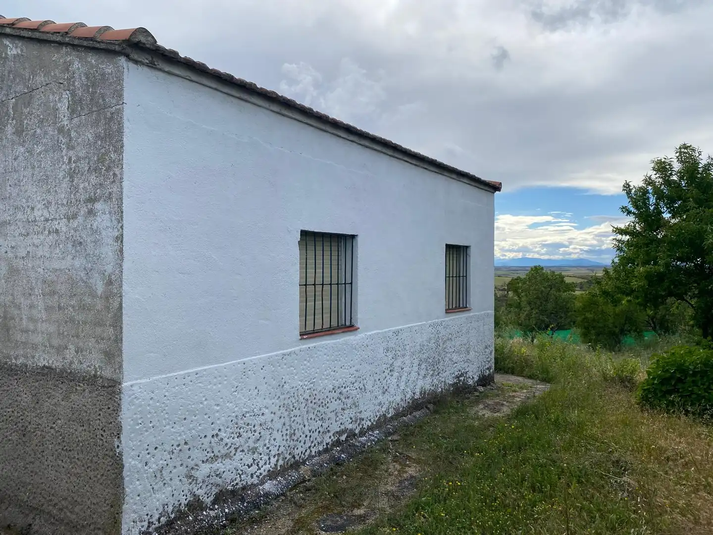 Vista exterior de Finca rústica en venda en Carranque amb Jardí privat, Terrassa i Moblat