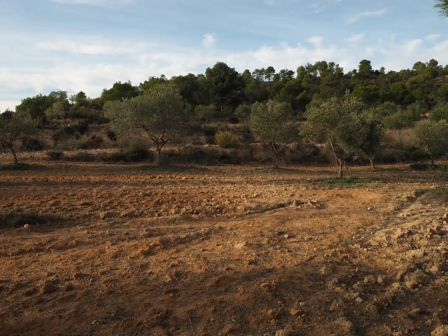 Terreno en venta en Flix