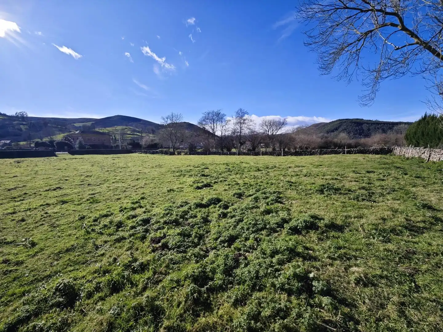 Residential land for sale in Ruente, imagen 3