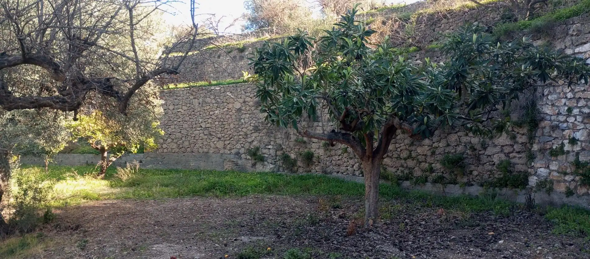 Casa rústica amb jardí en venda a Vélez de Benaudalla, imagen 12