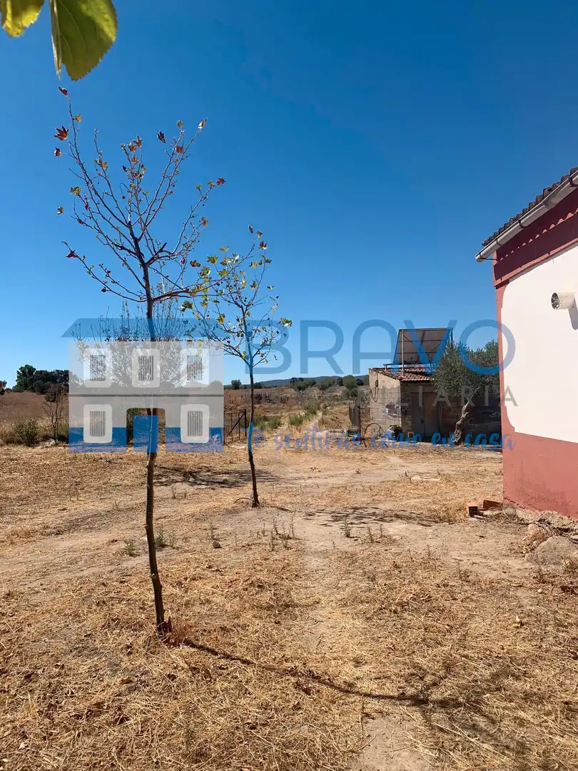 Chalet en venta en La Haba, imagen 21