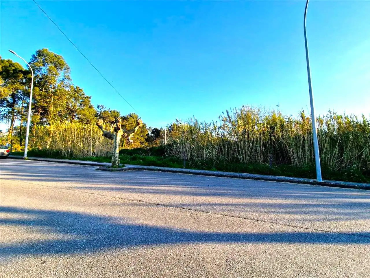 Lands and plots for sale in REVERENDO J.M. PEREZ ALONSO-NIGRA, imagen 6