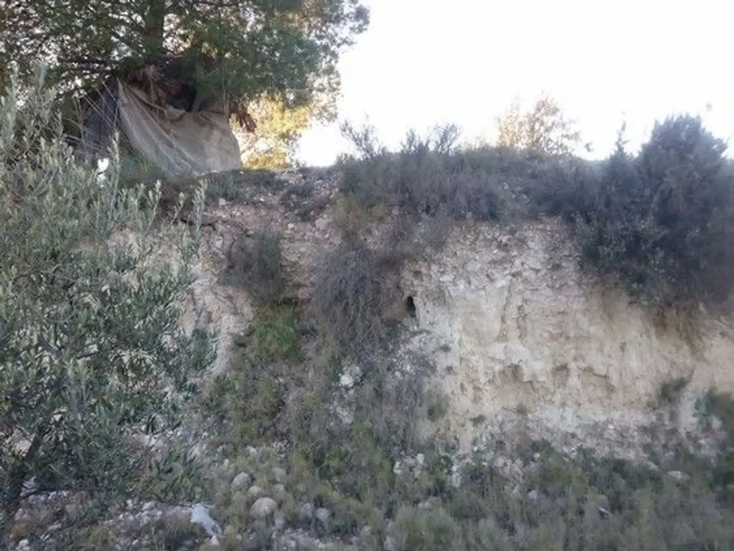 Terreni e lotti in vendita a Moratalla, imagen 16