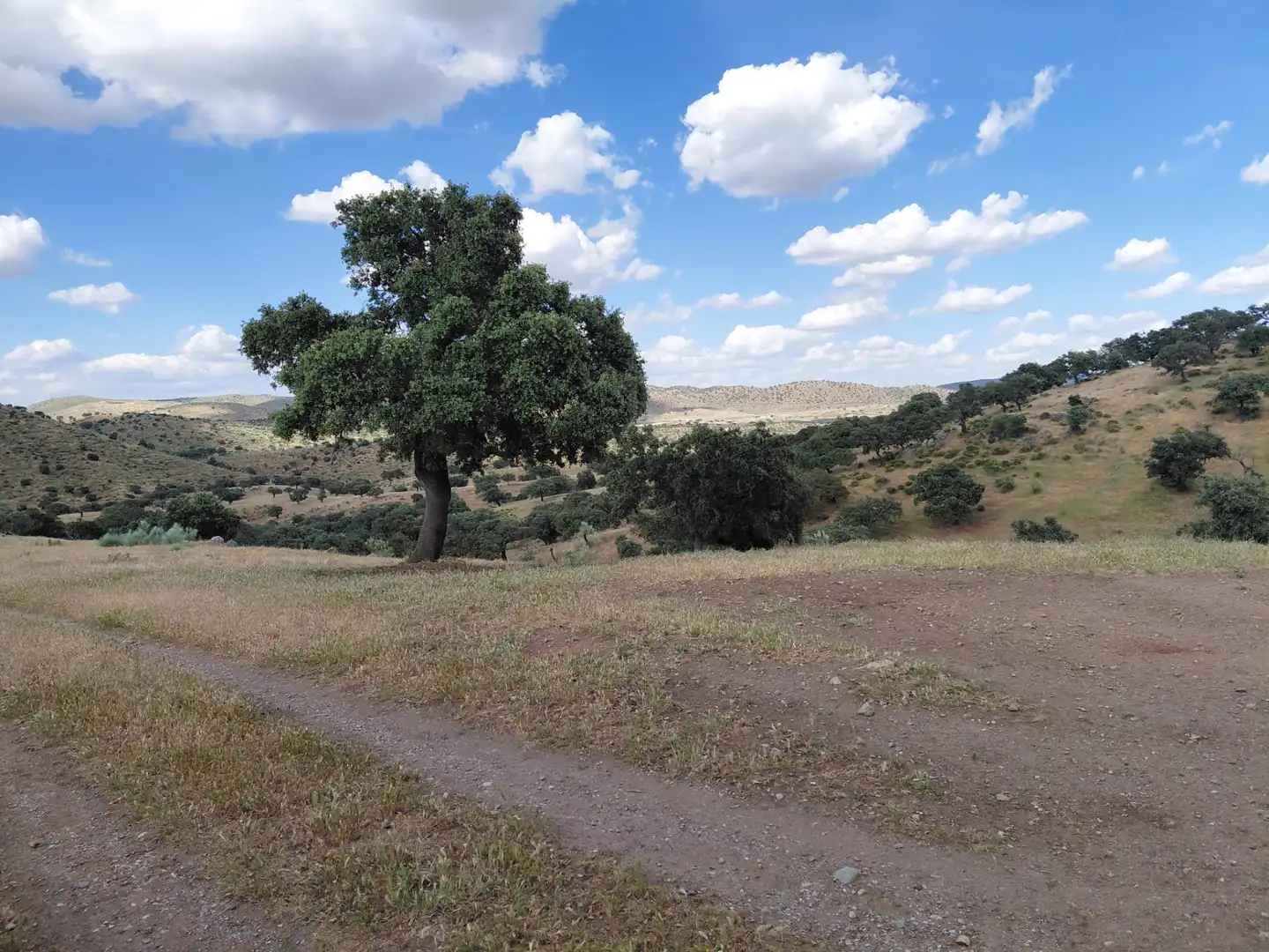 Finca rústica en venda en Fuente de Cantos amb Jardí privat, Forn i Rentadora